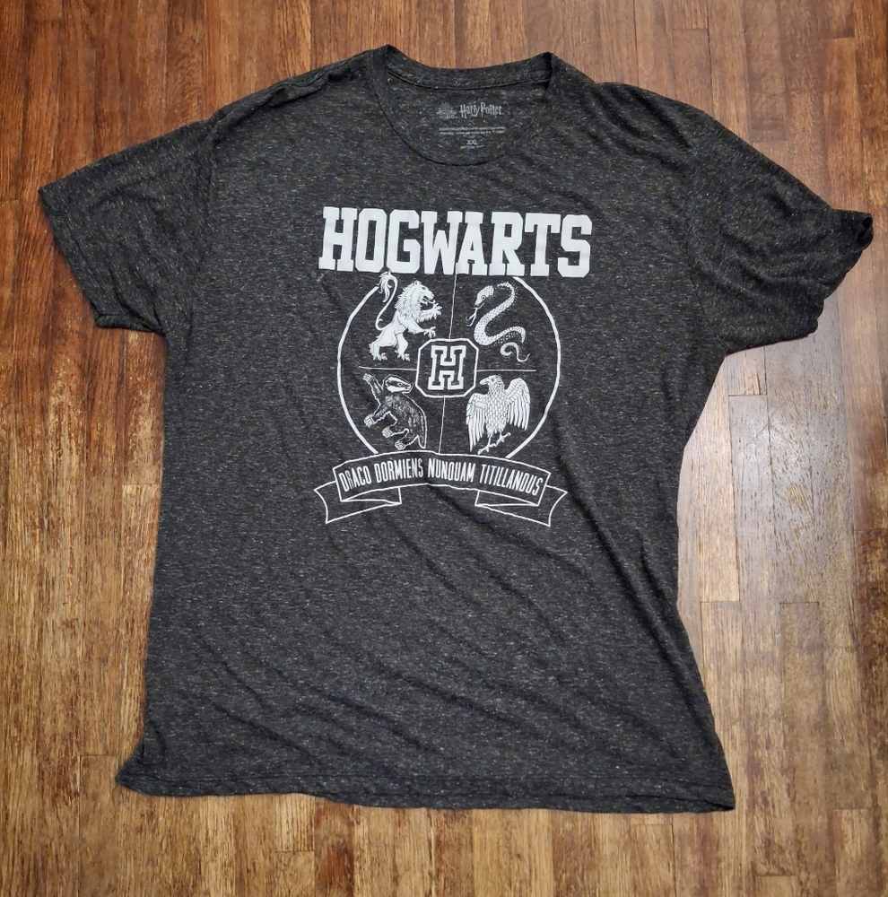 Warner Bros. Harry Potter Hogwarts Wizarding World Graphic Tee in Heathered Gray